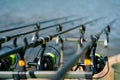 Fishing reels in line