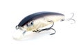 Fishing river lure transparent Royalty Free Stock Photo