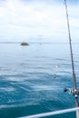 Fishing rod with bait and sinker with navigation buoy in background in Far North District, Northland, New Zealand, NZ
