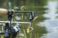 Fishing rod equipped with an electronic bite warning device on the river bank