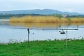 Fishing rods waiting for the byte on a lake