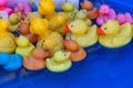 Fishing Rubber Ducks Pool