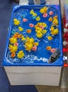 Fishing Rubber Ducks Pool Royalty Free Stock Photo