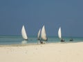 Fishing sailboats at high tide near the beach at noon Royalty Free Stock Photo