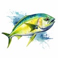 Watercolor Style Clipart Of Mahi-mahi On White Background Royalty Free Stock Photo