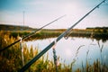 Fishing on a small pond Royalty Free Stock Photo