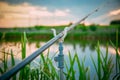 Fishing on a small pond Royalty Free Stock Photo