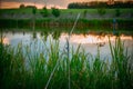 Fishing on a small pond Royalty Free Stock Photo