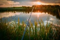 Fishing on a small pond Royalty Free Stock Photo