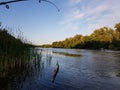 Fishing spinning on the river