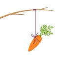 Fishing stick with hanging carrot Royalty Free Stock Photo