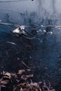 fishing stick in the ice river in early winter. There is some reed on a backgroung of the blue ice with air bubbles