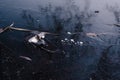 fishing stick in the ice river in early winter. There is some reed on a backgroung of the blue ice with air bubbles