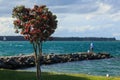 Fishing from stone pier, Tauranga, New Zealand