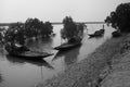 Fishing at Sundarban, India