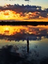 Fishing at sunset Royalty Free Stock Photo