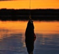 Fishing at sunset Royalty Free Stock Photo