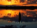 Fishing at sunset