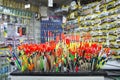 Fishing tackle with colored floats close-up in a fishing shop Russia, Kursk region, Zheleznogorsk October 2019