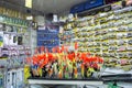 Fishing tackle with colored floats close-up in a fishing shop Russia, Kursk region, Zheleznogorsk October 2019