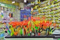 Fishing tackle with colored floats close-up in a fishing shop Russia, Kursk region, Zheleznogorsk October 2019