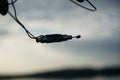 Fishing tackle photographed while fishing on the Danube on a midsummer afternoon Royalty Free Stock Photo