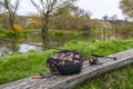 Fishing tackle set. Special angling bag, spinning rod with reel and pliers on wooden log near wild small river Royalty Free Stock Photo