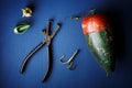 Fishing tackle still life with a top view Royalty Free Stock Photo