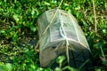 The Fishing tackle or traps made with bamboo net Royalty Free Stock Photo