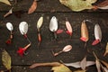 Fishing tackle on wooden surface. Royalty Free Stock Photo