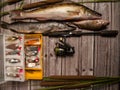 Pike, perch, zander, spinning, a set of fishing lures in a box, reel with fishing line on a wooden background. Royalty Free Stock Photo