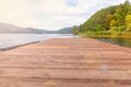 Fishing tourism relax concept. Beautiful forest lake or river on sunny summer day and old rustic wooden dock or pier. Fishing Royalty Free Stock Photo