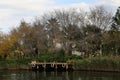 Fishing town in Dalyan, Mugla Royalty Free Stock Photo