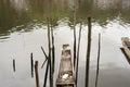 A fishing and transport canoe stops on the riverbank Royalty Free Stock Photo