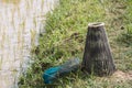 Fishing trap in paddy Royalty Free Stock Photo
