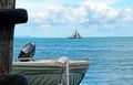Fishing trawler & motor boat dinghy at sea Royalty Free Stock Photo