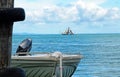 Fishing trawler & motor boat dinghy at sea