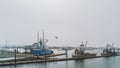 Fishing trawlers at dock in foggy weather in a marina and gull in sky Royalty Free Stock Photo