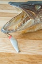 Fishing trophy with metallic lure Royalty Free Stock Photo