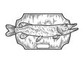 Fishing trophy stuffed fish, northern pike. Apparel print design. Scratch board imitation. Black and white hand drawn