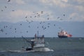 Fishing vessel followed by seagulls. Royalty Free Stock Photo