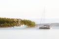 The fishing vessel for squid extraction returns in the early morning sailing past the green shore and sailing yacht. Catch of