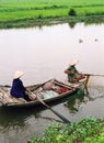 Fishing, Vietnam style Royalty Free Stock Photo