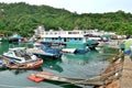 Typhoon Shelter at Fishing Village of Lei Yue Mun Royalty Free Stock Photo