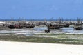 Fishing village in Zanzibar