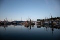 A fishing wharf near sunset with boats tied to the dock Royalty Free Stock Photo