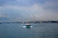 Fishingboat with seagulls, Istanbul