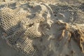 Fishingnet at the beach Royalty Free Stock Photo