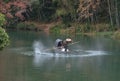 Fishman rowing boat in China river Royalty Free Stock Photo