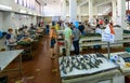 Fishmarket in Zadar is one of the largest and best supplied in Croatia and attracts many buyers Royalty Free Stock Photo